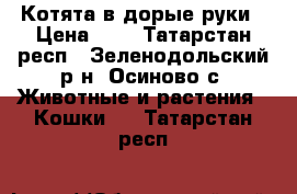 Котята в дорые руки › Цена ­ 1 - Татарстан респ., Зеленодольский р-н, Осиново с. Животные и растения » Кошки   . Татарстан респ.